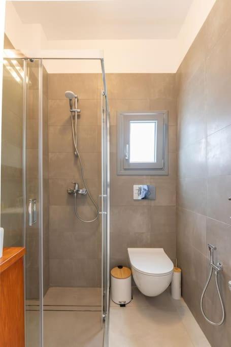Mykonos Luxury With Jacuzzi Apartment Kalo Livadi